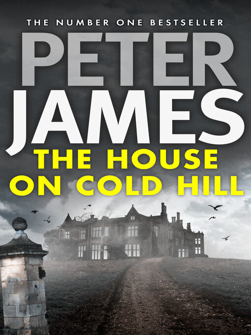 Title details for The House on Cold Hill by Peter James - Available
